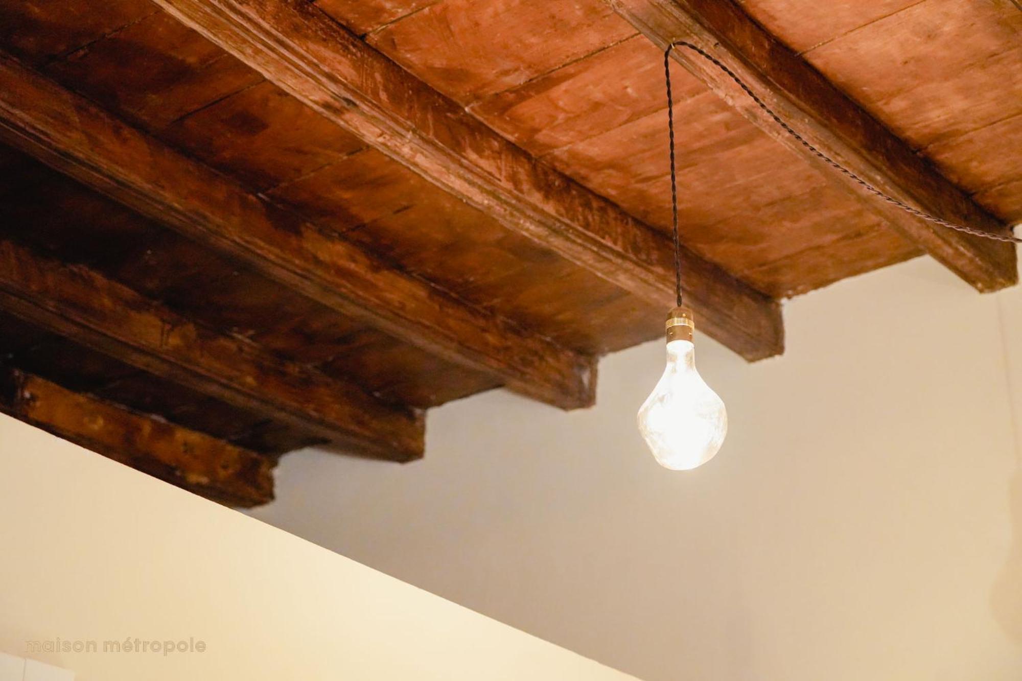 Rosine Loft Apartament Turyn